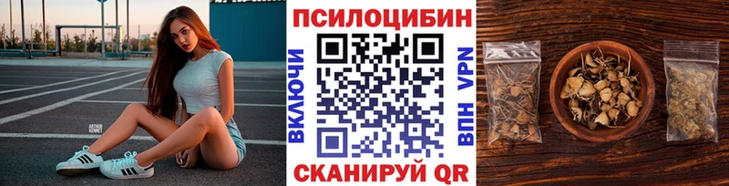 Купить  Верхняя Пышма  Галлюциногенные грибы мицелий 
