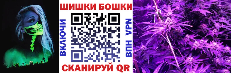 Шишки марихуана SATIVA & INDICA  Купить закладки  Верхняя Пышма 